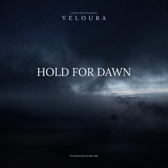 Hold for Dawn cover